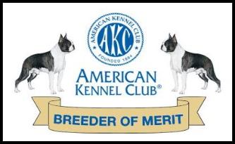 breeder_merit_bostons